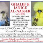 Ghalib-ad-2020-1